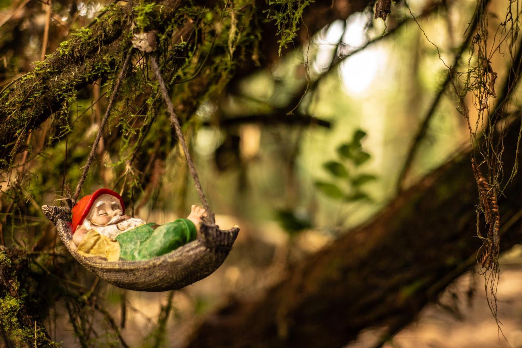 Owl'S Watch At Rio Blanco Βίλα Manizales Εξωτερικό φωτογραφία