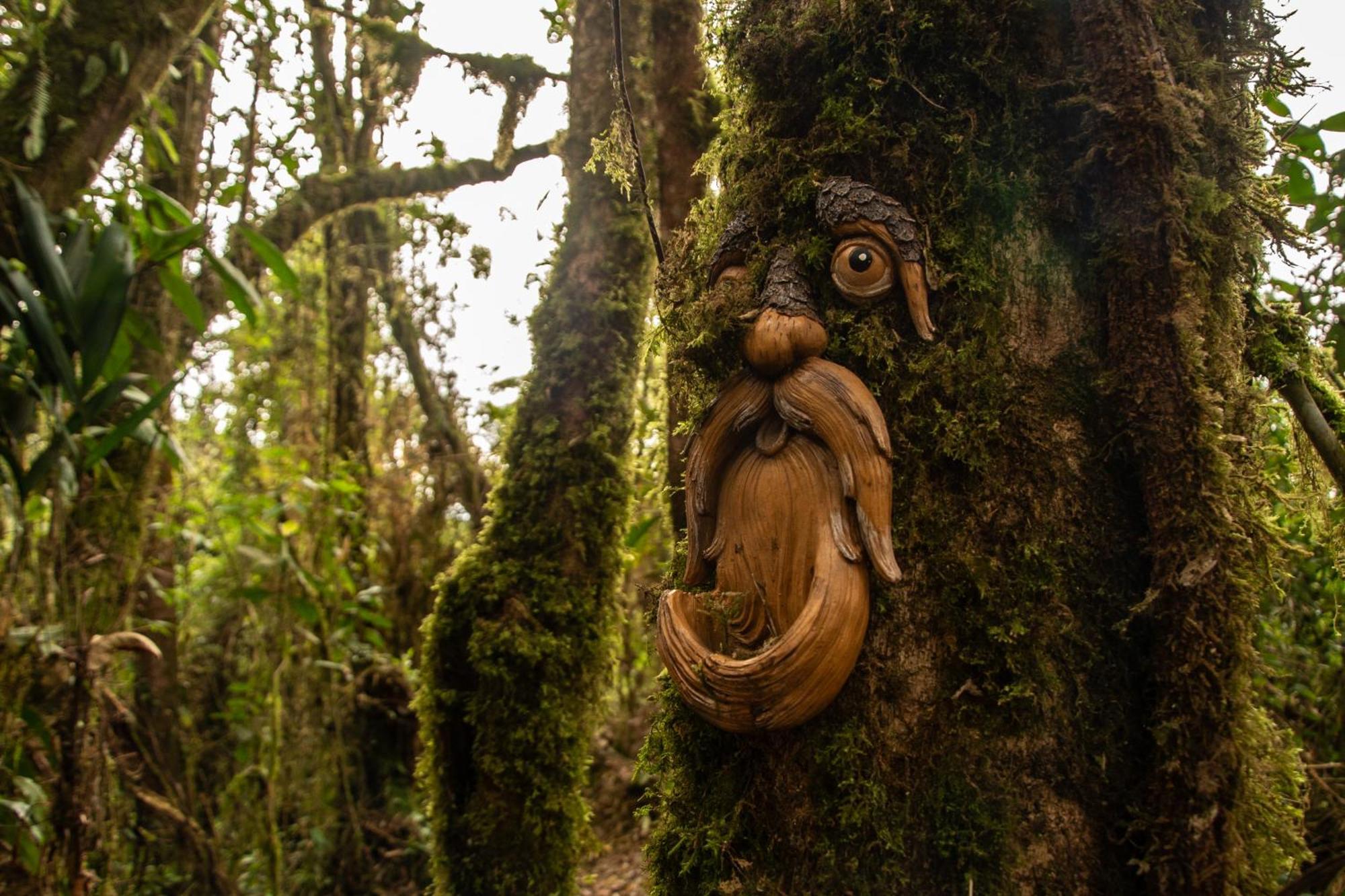 Owl'S Watch At Rio Blanco Βίλα Manizales Εξωτερικό φωτογραφία