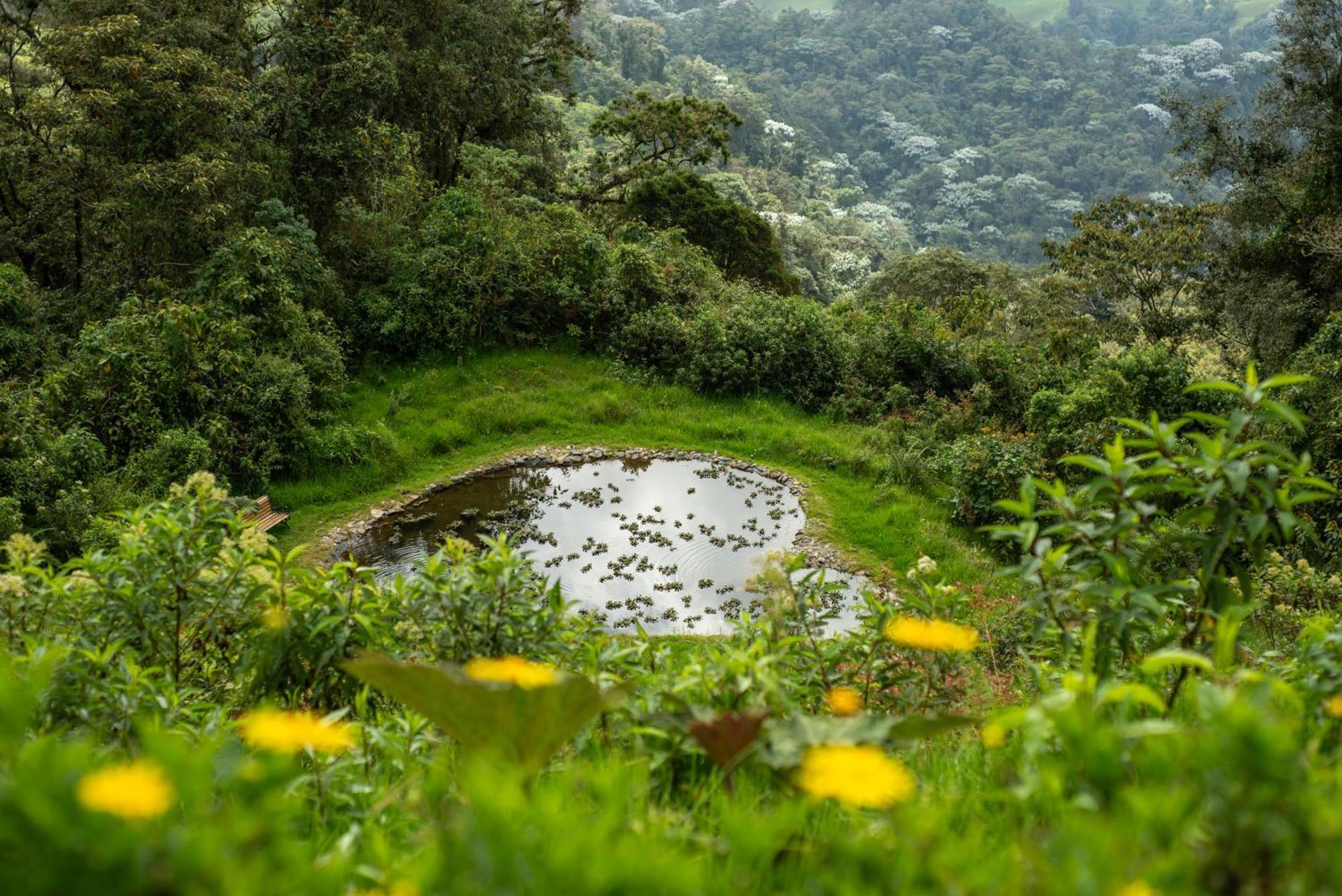 Owl'S Watch At Rio Blanco Βίλα Manizales Εξωτερικό φωτογραφία