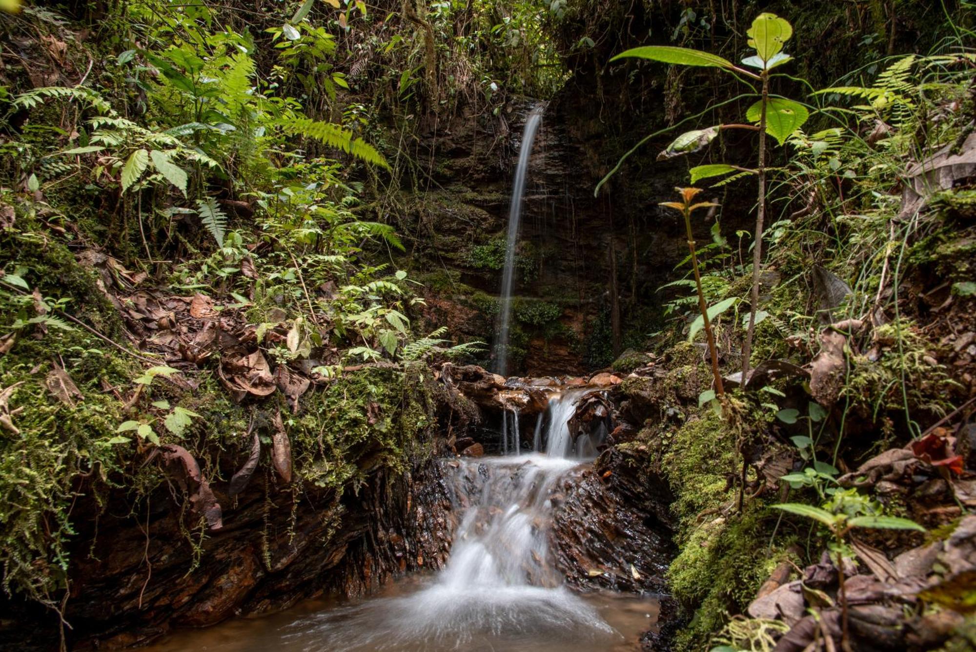 Owl'S Watch At Rio Blanco Βίλα Manizales Εξωτερικό φωτογραφία